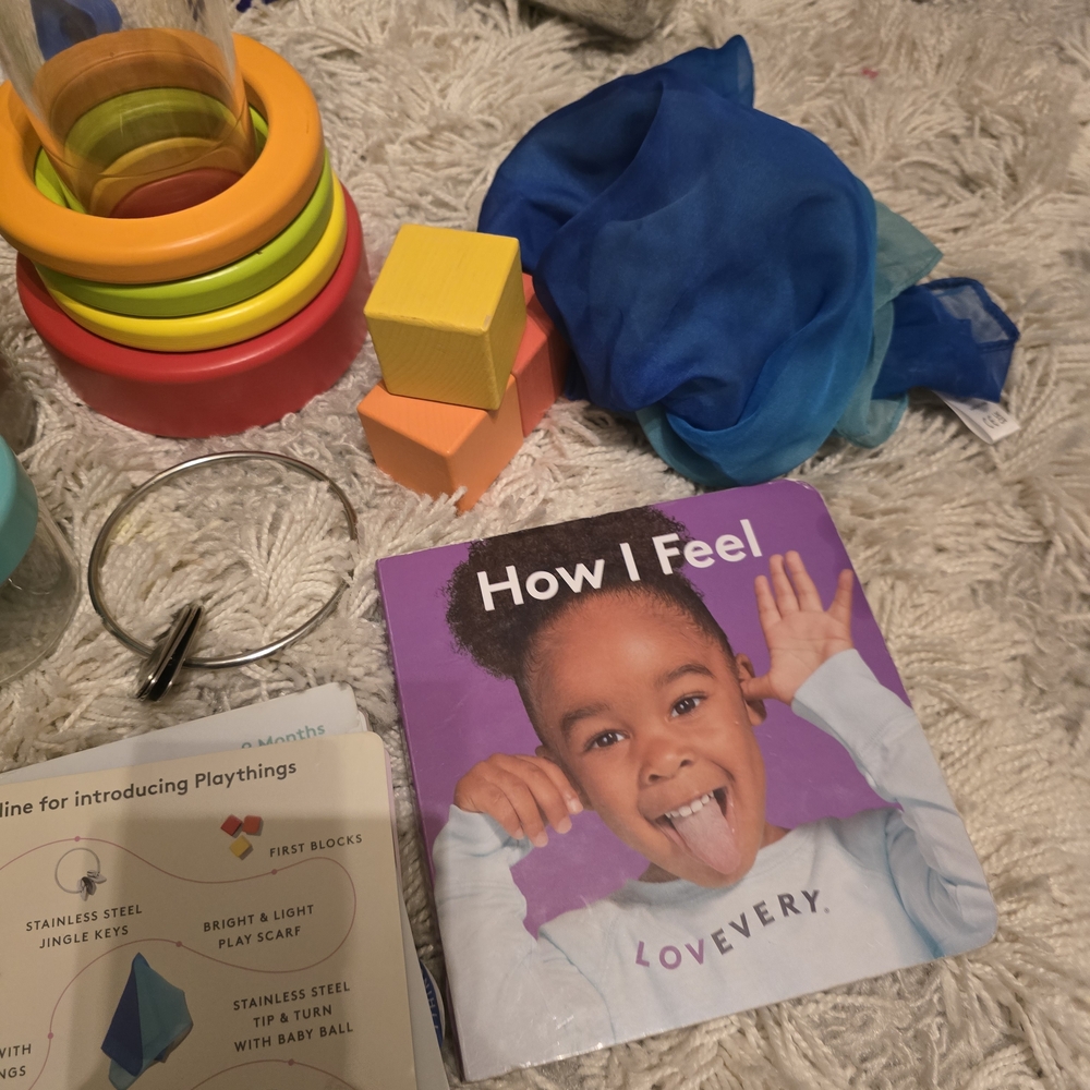 Montessori Months 9-10

The Explorer Play Kit